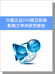 中国企业500强互联网影响力评估研究陈诉