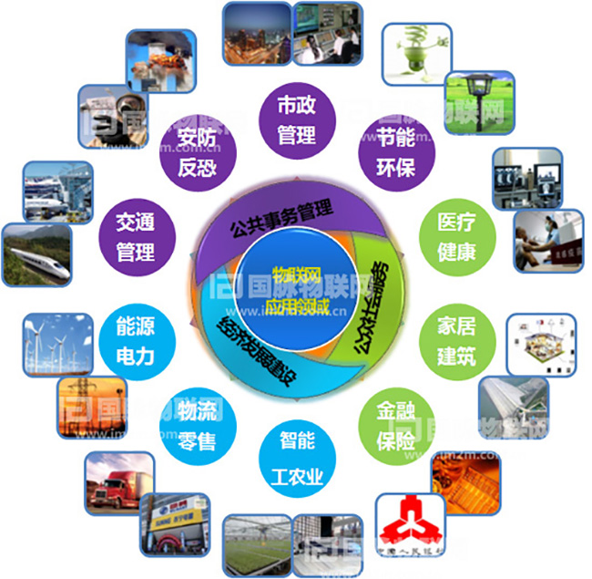 杨冰之：重视物联网在关jian工业的应用